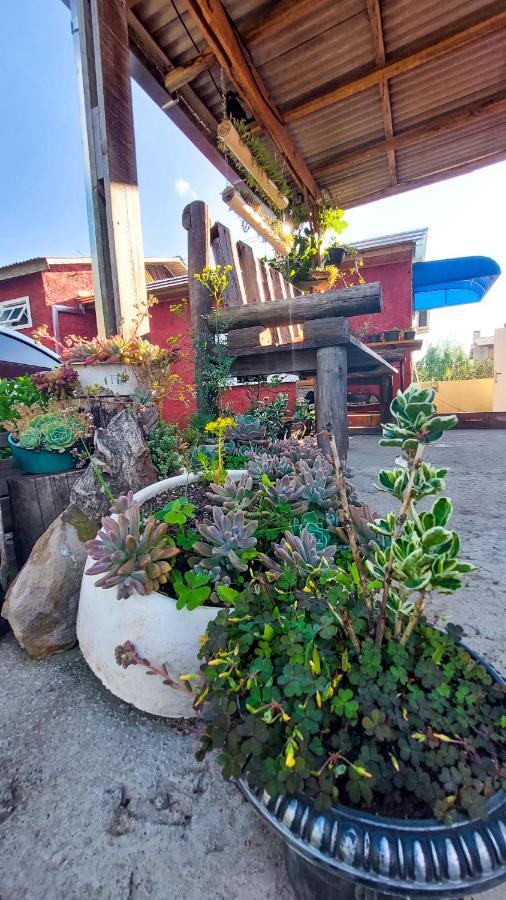 Hostel Cape Town - Cambará Εξωτερικό φωτογραφία