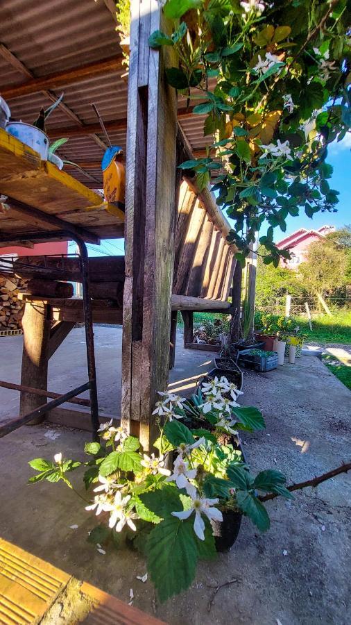 Hostel Cape Town - Cambará Εξωτερικό φωτογραφία