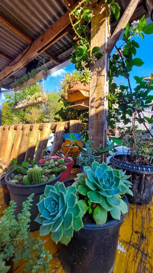 Hostel Cape Town - Cambará Εξωτερικό φωτογραφία